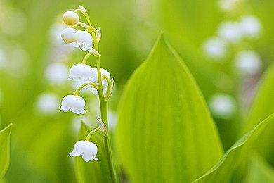 《光环》系列发生大型泄密：26年间大量未公开内容泄露